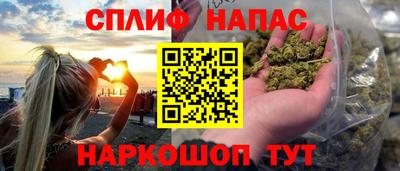 МДПВ Обь