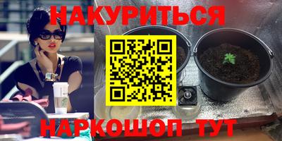 a pvp Обнинск