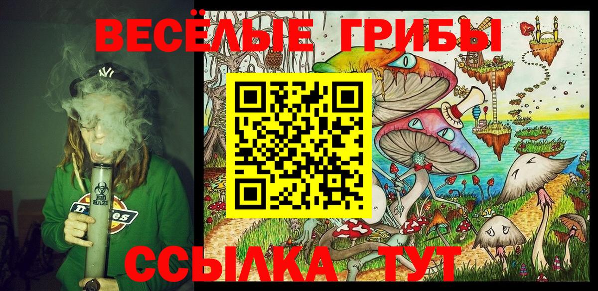 ЭКСТАЗИ  Вход с VPN  Альфа ПВП СОЛЬ   Сунжа  ГАШ  Меф МЯУ МЯУ   Марихуана  Амфетамин кристаллы  КОКАИН 
